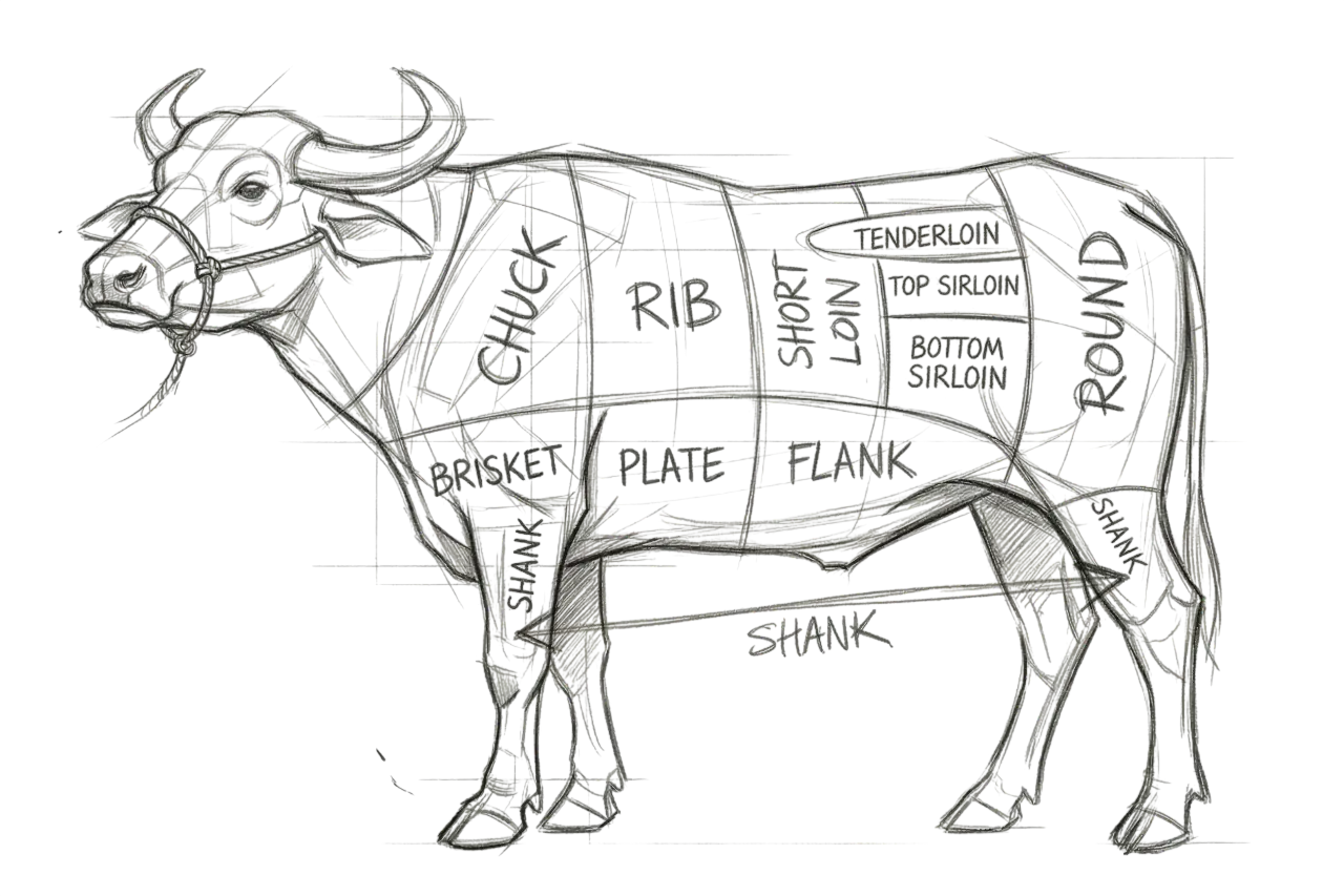 Beef cuts diagram showing brisket and other cuts used for smoked barbecue